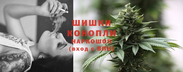 эйфоретик Богданович