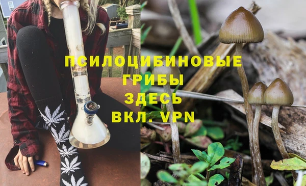 мефедрон Богородицк