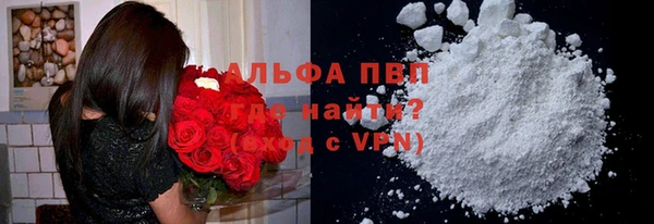 эйфоретик Богданович